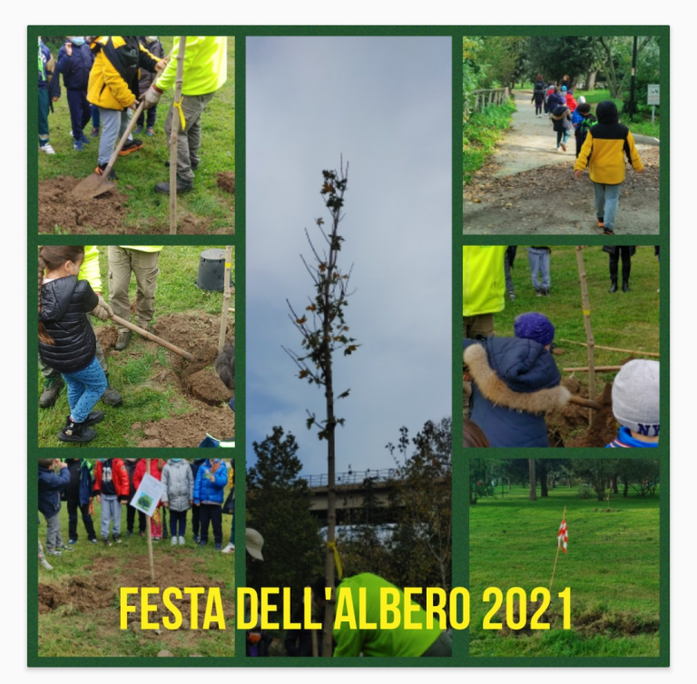 Scopri di più sull'articolo FESTA  DELL’ALBERO