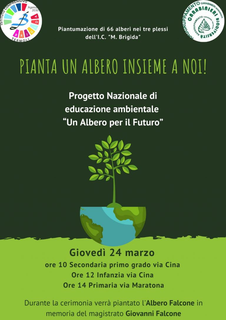 Scopri di più sull'articolo PIANTA UN ALBERO INSIEME E NOI!