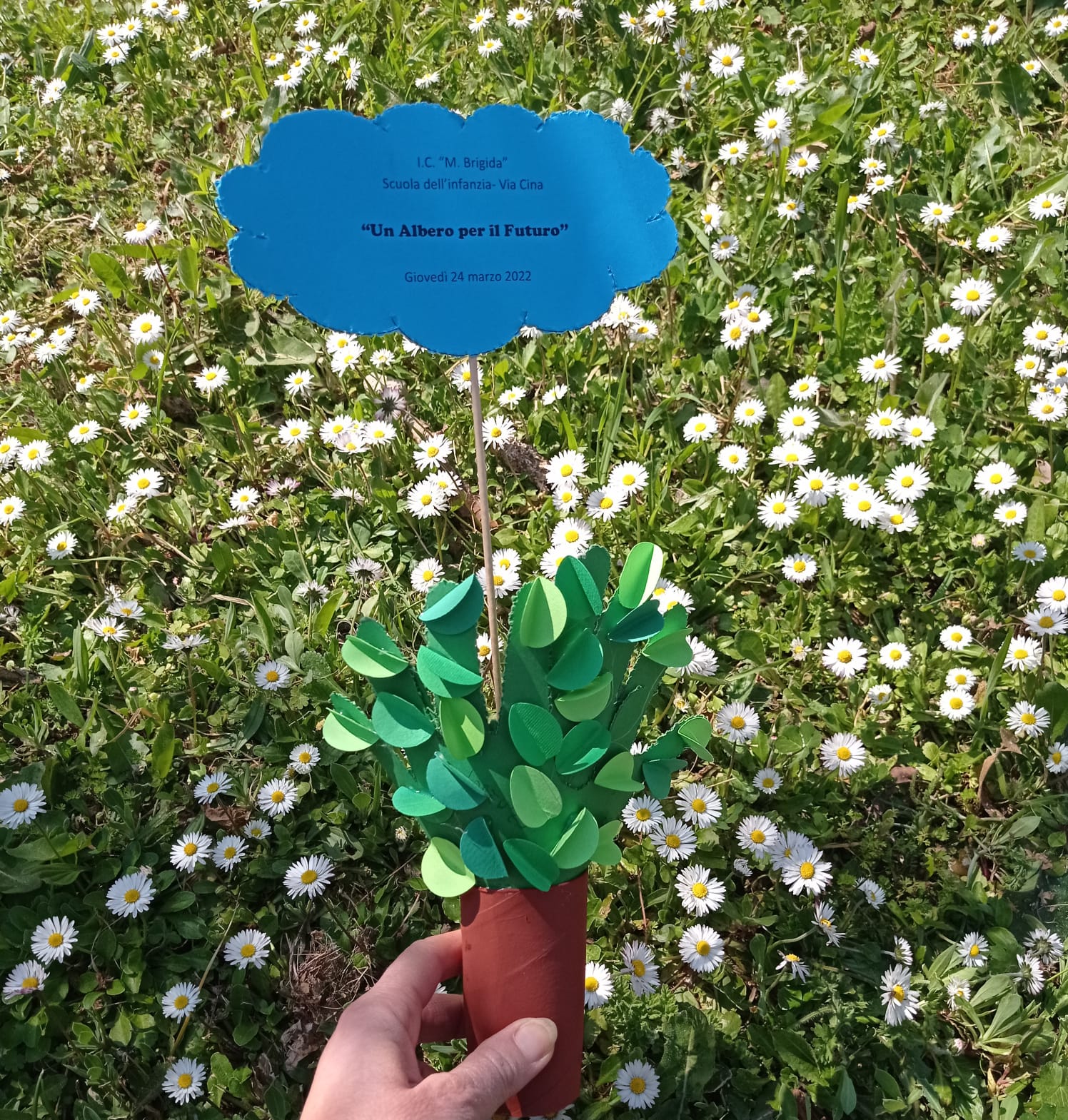 Scopri di più sull'articolo EDUCARE ALLA LEGALITÀ AMBIENTALE: ALLA BRIGIDA “L’ALBERO DI FALCONE” INIZIATIVA A CURA DEI CARABINIERI DELLA BIODIVERSITÀ DI ISERNIA