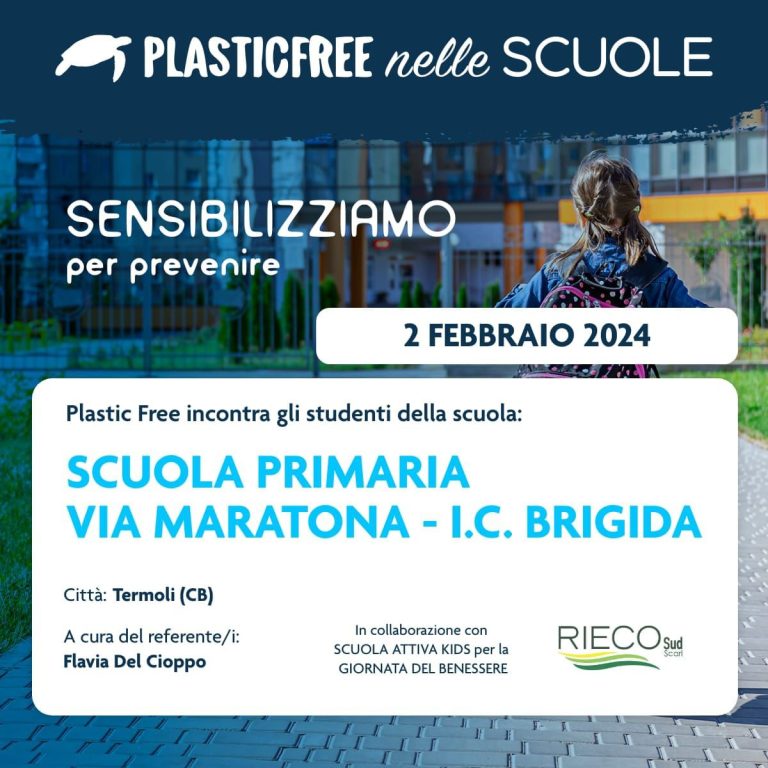 Scopri di più sull'articolo Scuola ‘tirata a lucido’ dai piccoli alunni di via Maratona